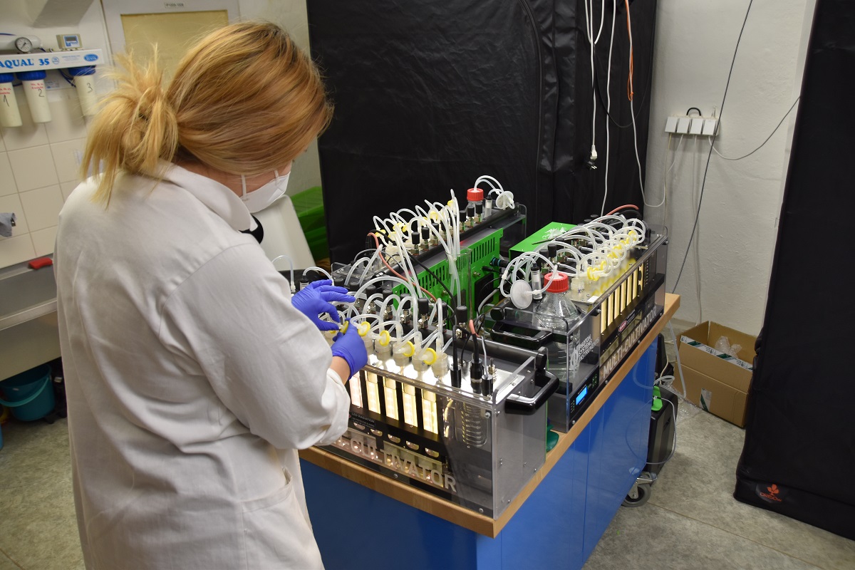 Katarína Molnárová při práci s malými bioreaktory pro pěstování mikrořas