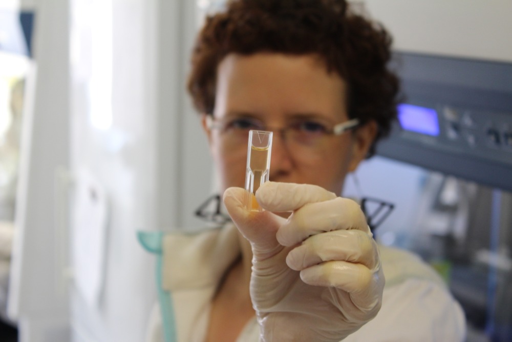 Úkolem laboratoře na Ústavu chemie a biochemie AF MENDELU v Brně je připravit experimenty s bakteriemi.